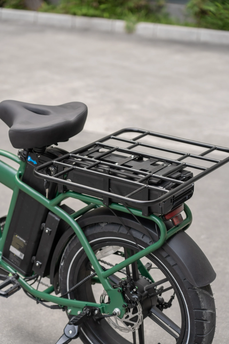 Bicicletta elettrica urbana