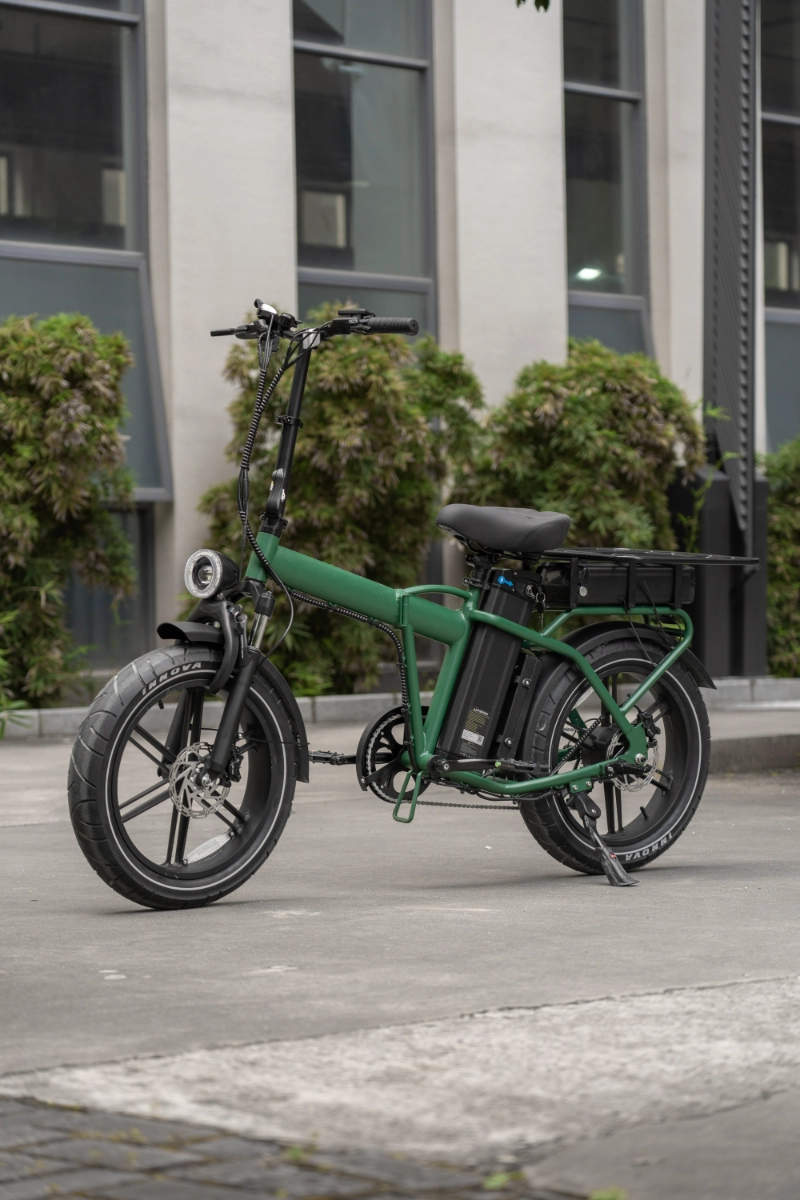 Fornitore di biciclette elettriche urbane per biciclette elettriche per pendolari con pneumatici grassi personalizzati