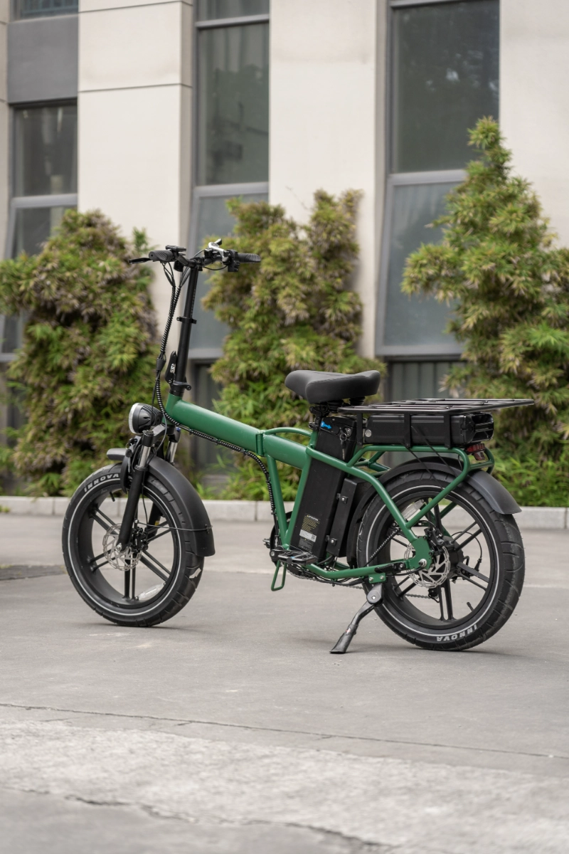 Bicicletta elettrica urbana