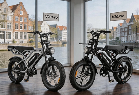 Storia della cooperazione dello showroom del distributore