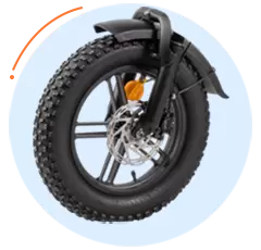 Popolare bici elettrica Fat Tire