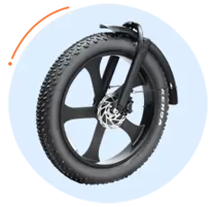 Popolare bici elettrica Fat Tire