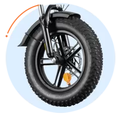 Popolare bici elettrica Fat Tire