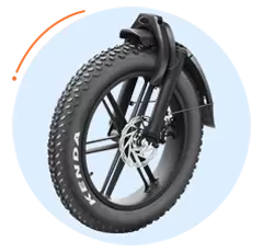 Popolare bici elettrica Fat Tire