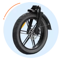 Popolare bici elettrica Fat Tire