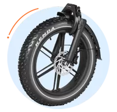 Popolare bici elettrica Fat Tire