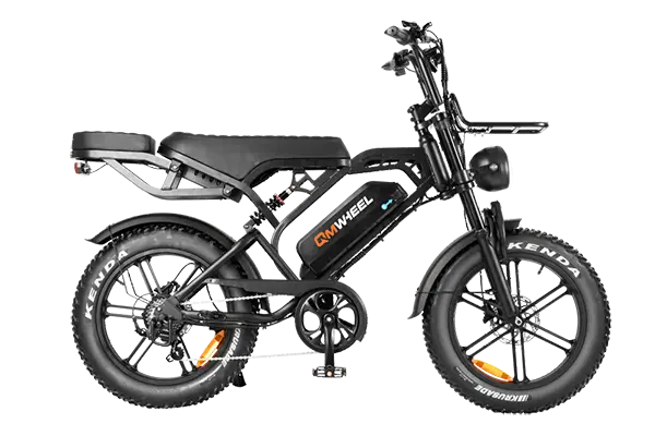 Biciclette elettriche Fat Tire