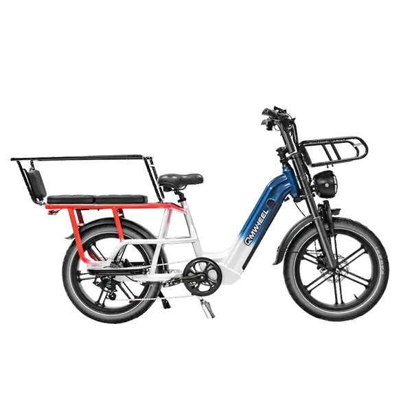Trasporto Biciclette Elettriche