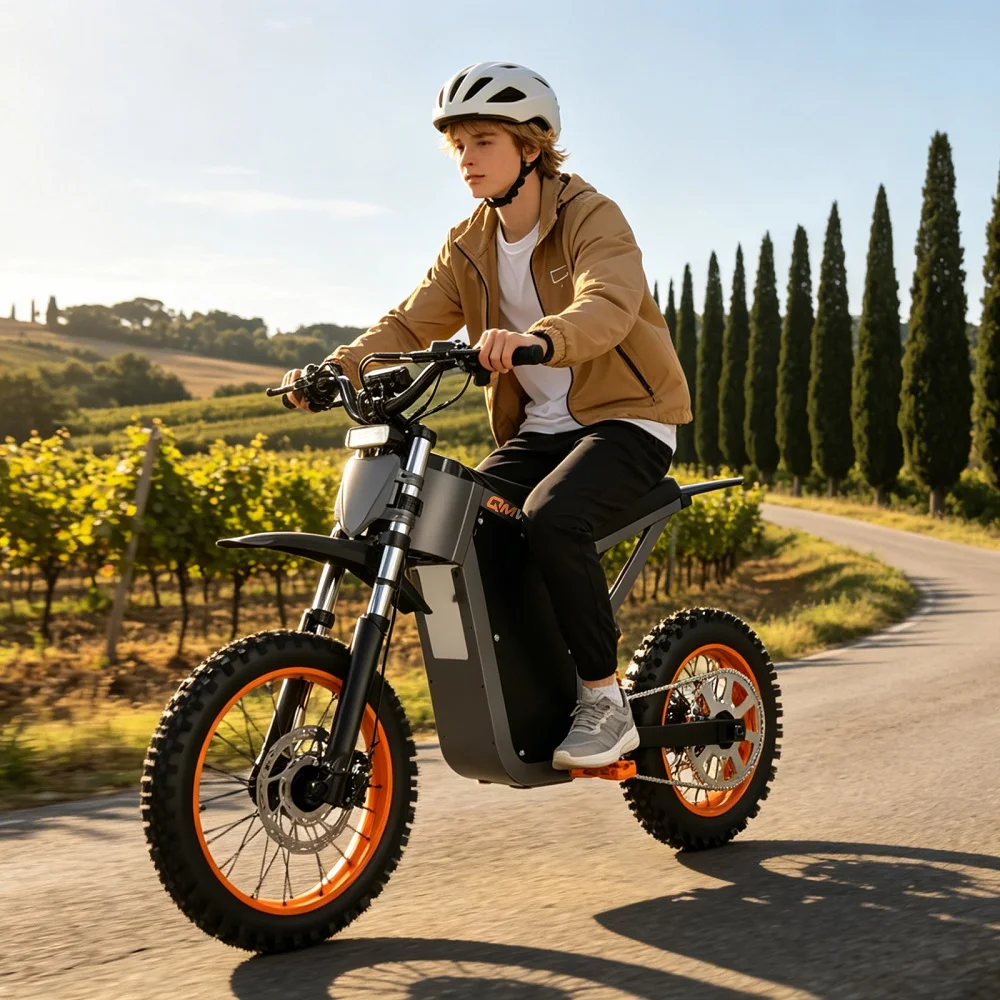 Moto elettrica personalizzata Moto elettrica personalizzata