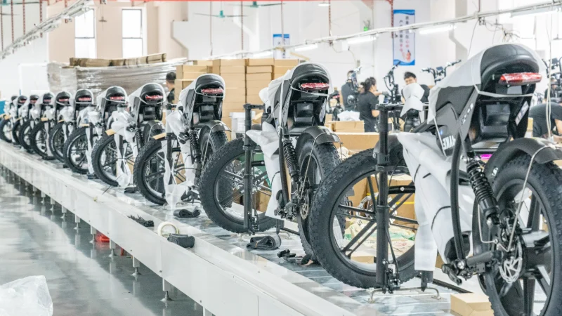 Produttore di biciclette elettriche personalizzate