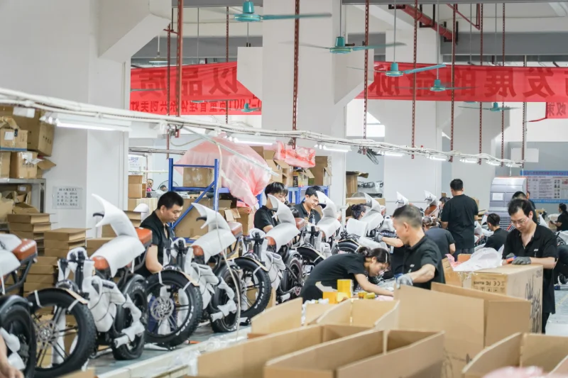 Soluzioni OEM per biciclette elettriche per tutti i terreni per viaggi all'aperto