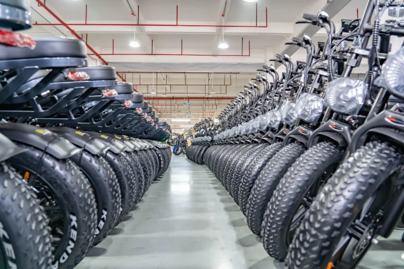 OEM di biciclette elettriche per tutti i terreni OEM di biciclette elettriche per tutti i terreni