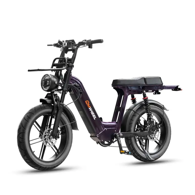 Ebike per pendolari urbani con batteria a lunga autonomia Ebike per pendolari urbani con batteria a lunga autonomia