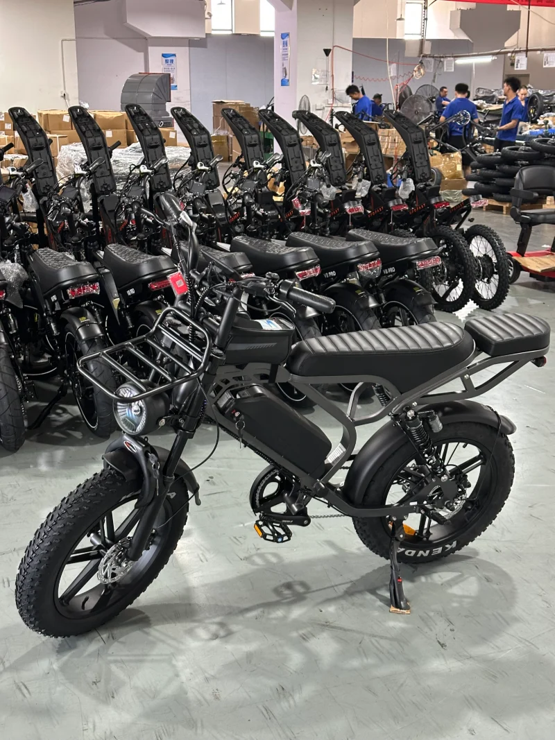 Ebike Fat Tire a lungo raggio