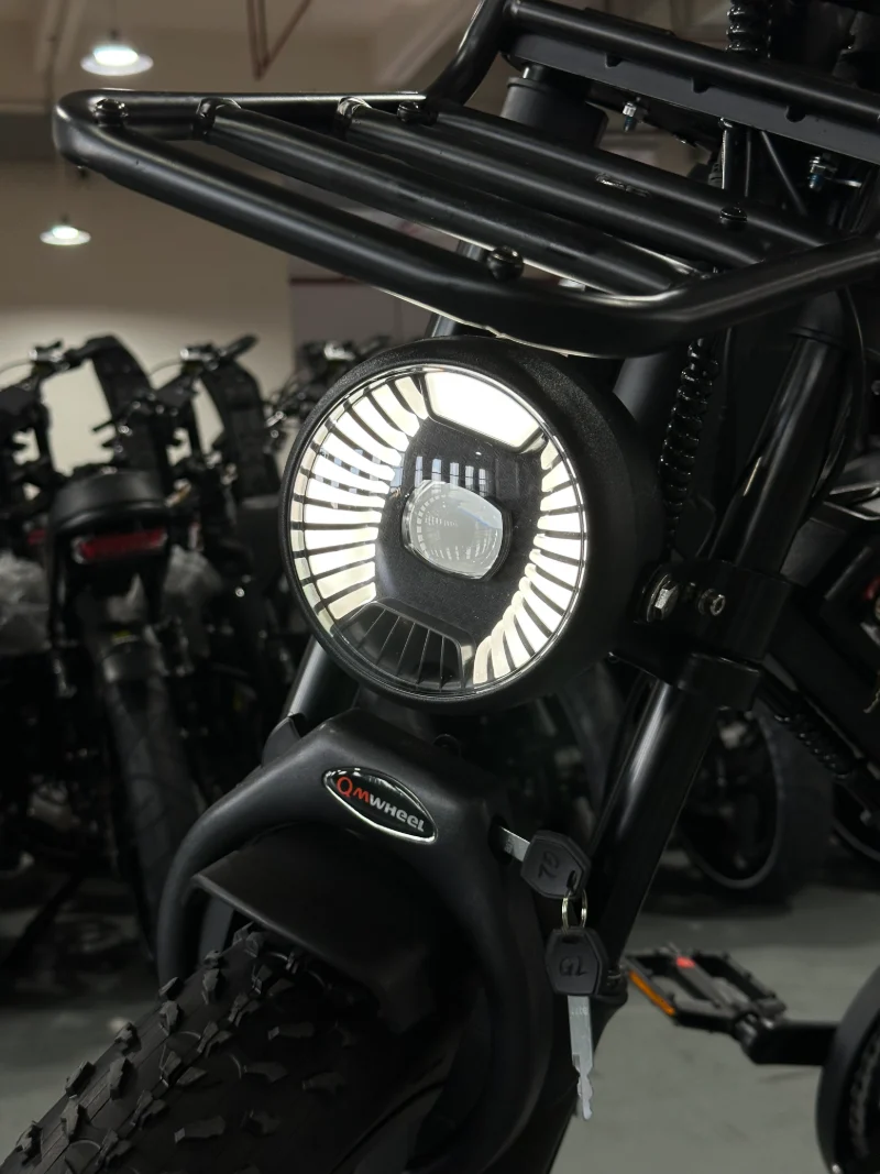 Ebike Fat Tire a lungo raggio per marchi di mobilit&agrave; all'aperto OEM e ODM