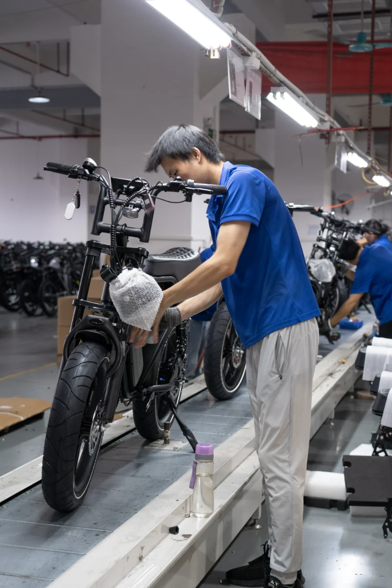 OEM di bici per pneumatici grassi fuoristrada OEM di bici per pneumatici grassi fuoristrada