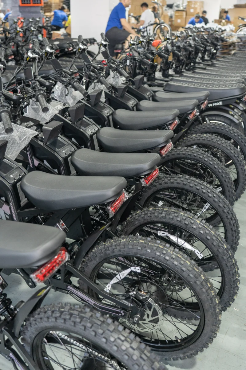 Bici elettrica per pneumatici grassi per tutti i terreni con opzioni doppia batteria a lungo raggio