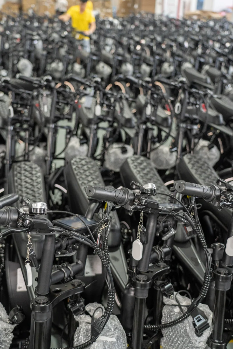 Bici elettrica per pneumatici grassi per tutti i terreni