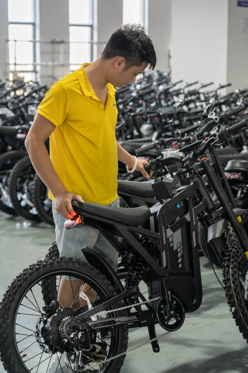 Bici elettrica per pneumatici grassi per tutti i terreni