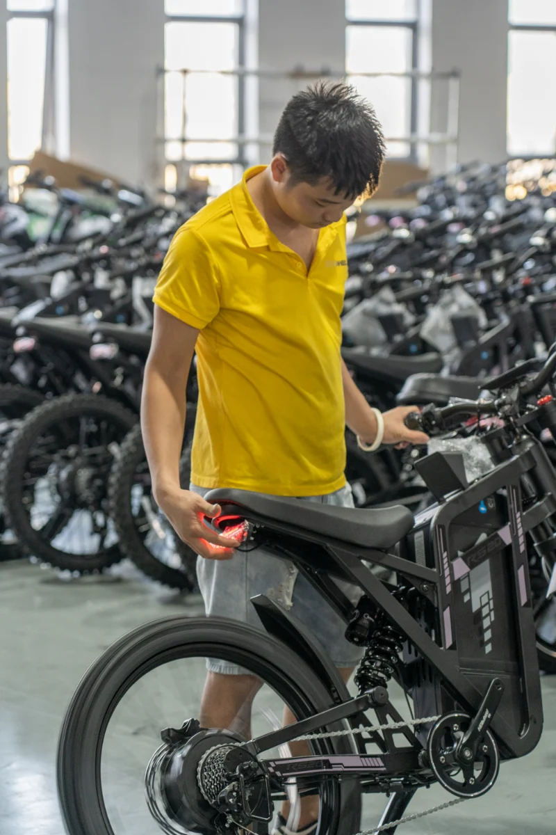 Bici elettrica per pneumatici grassi per tutti i terreni