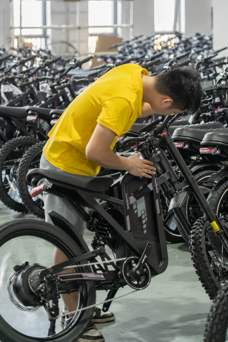 Bici elettrica per pneumatici grassi per tutti i terreni
