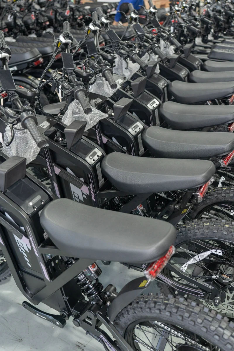 Bici elettrica per pneumatici grassi a doppia batteria