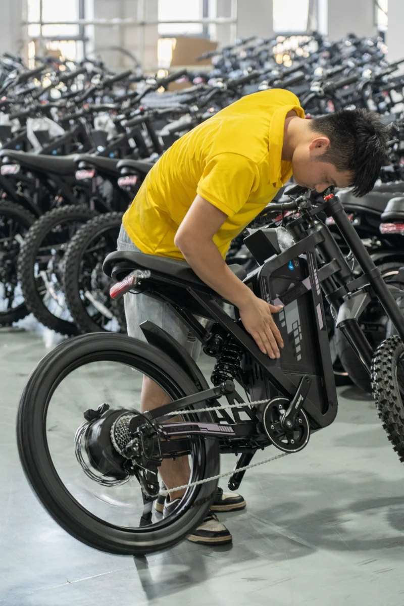 Bici elettrica per pneumatici grassi a doppia batteria