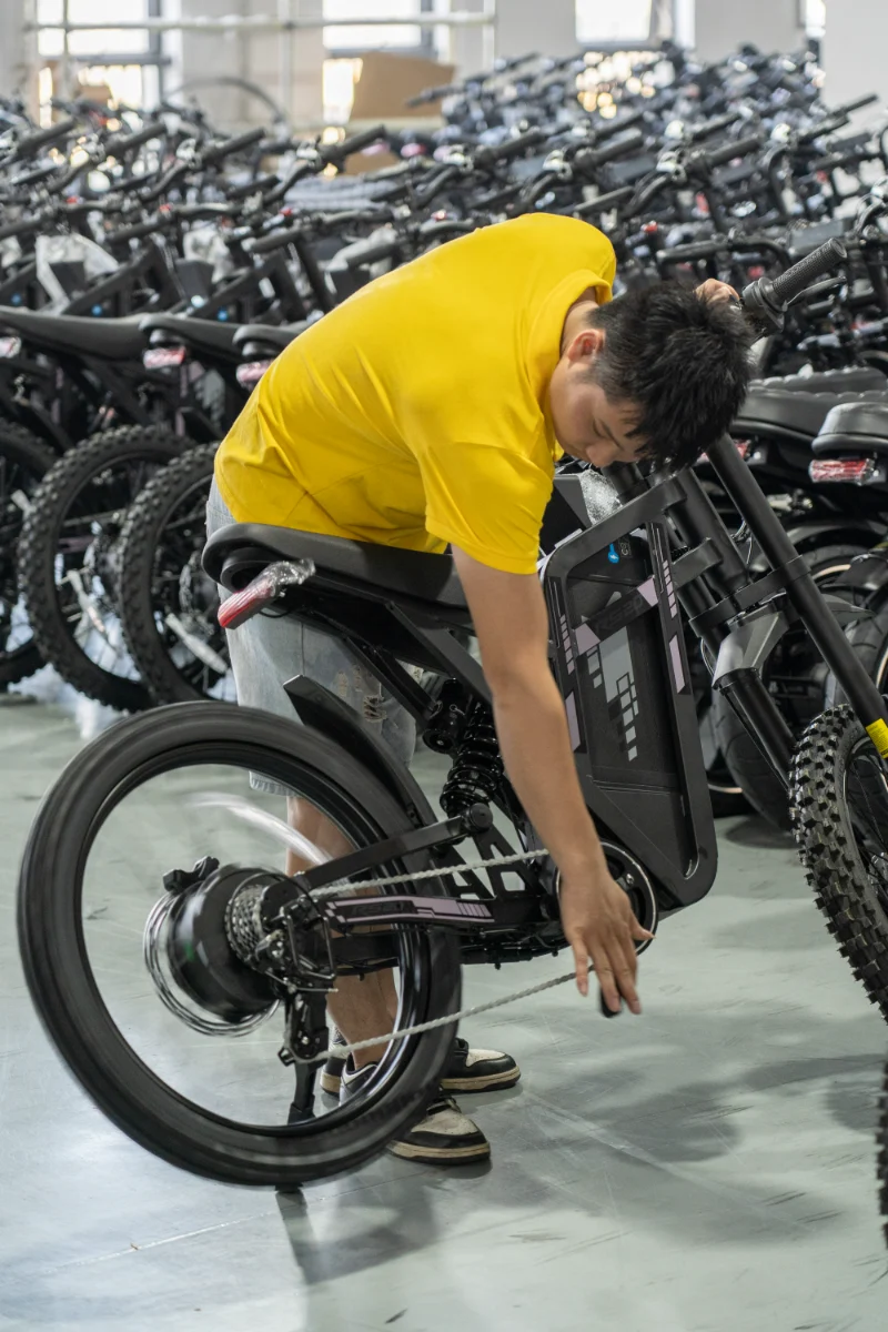 Bici elettrica per pneumatici grassi a doppia batteria