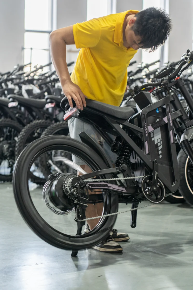 Bici elettrica per pneumatici grassi a doppia batteria