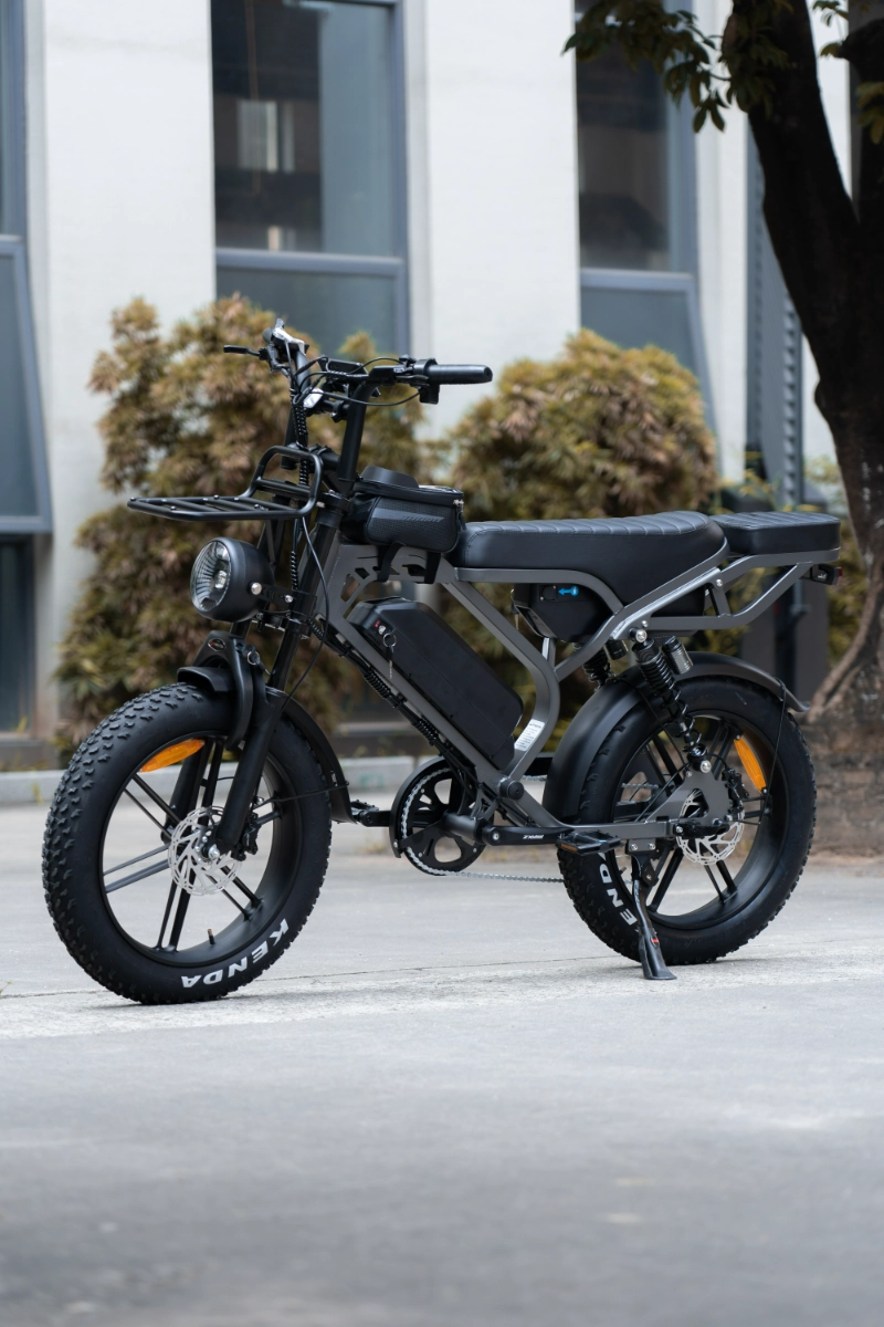 In che modo le bici elettriche Fat Tire personalizzate OEM aiutano i marchi a raggiungere mercati di nicchia