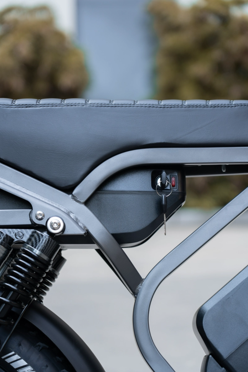 Biciclette elettriche Fat Tire Biciclette elettriche Fat Tire