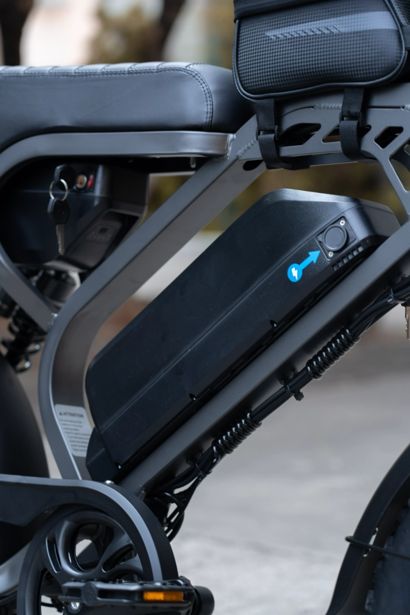 Fat bike elettrica per tutti i terreni