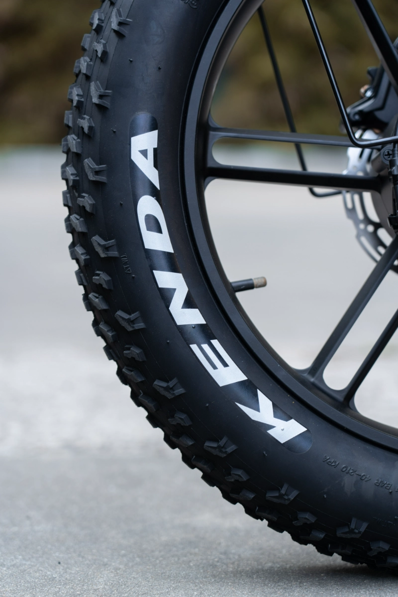 Ebike Fat Tire a lungo raggio