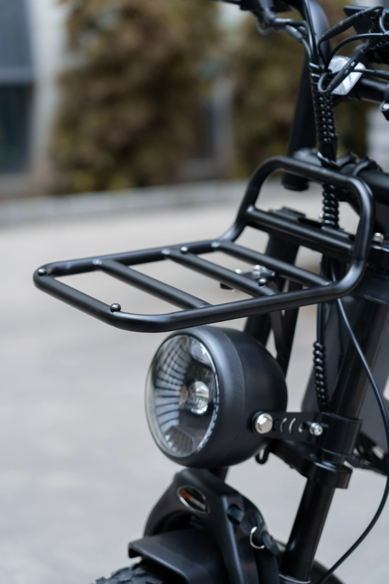 Ebike Fat Tire a lungo raggio